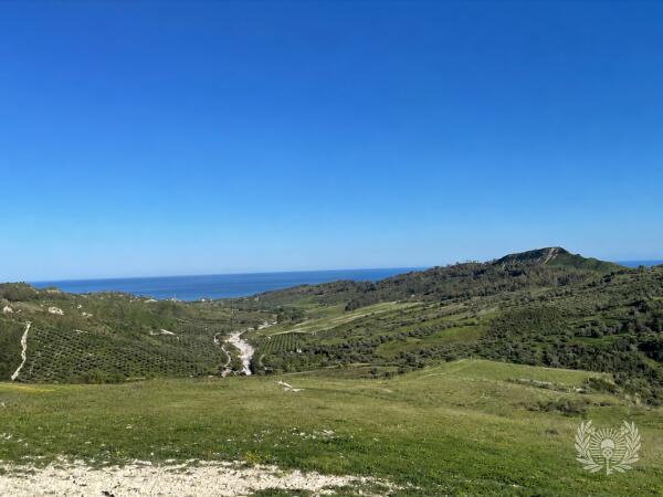 7,440 m² Land with Sea View, Olive Grove and Ruin in Calabria